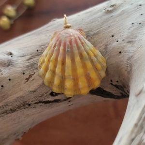 Authentic Hawaii Rainbow Sunrise Shell Pendant